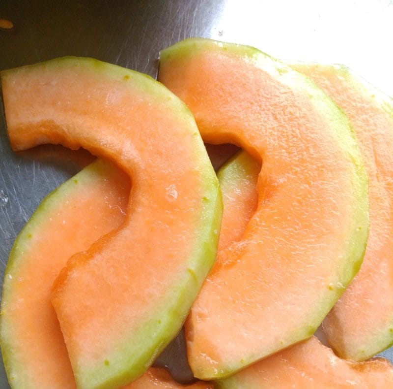 Melón Deshidratado