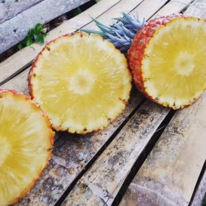 Piña Deshidratda